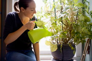 sinais-planta-esta-doente-2.jpg