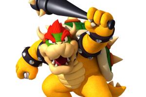 bowser.jpg