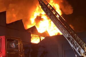 EgGfs75WoAIegev.jfif