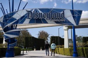 Disneyland Expansion