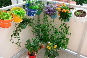Decorar con hierbas1.jpg