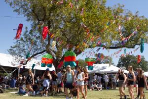 Fans disfrutan del Austin City Limits