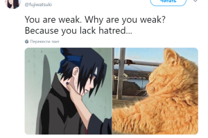 sasuke-meme-gato.png