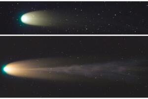 cola cometa Leonard