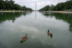Lincoln Memorial Reflecting Pool