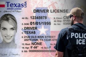Licencia conducir ICE