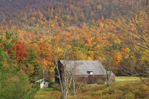 Fall foliage is seen in this 21 October