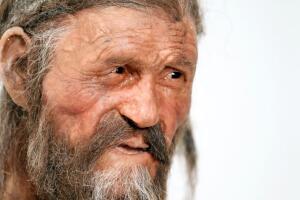 Ötzi_G11.jpg