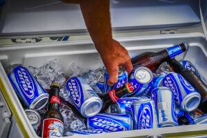 Cans and bottles of Budweiser Light in an cooler box.