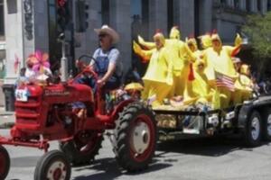 petaluma-festivalegg.jpg