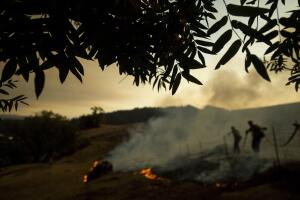California Wildfires Blackout