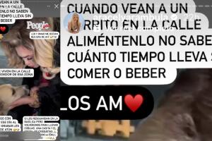 Aracely Arámbula hizo un llamado para no dejar desamparados a los perros que viven en la calle o están sin hogar fijo. 