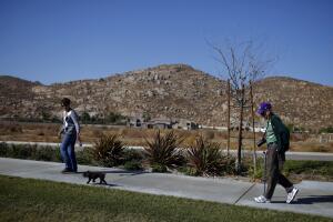 John Pringle, Donna Pringle