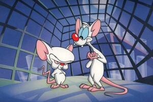 Pinky y Cerebro caricatura