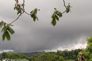 hilda irizarry 2.png