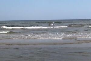 Galveston - Marco 7.jpg