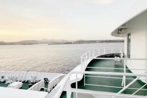 Cape Verde Hantavirus Ship