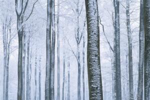 thinkstockphotos-200281083-001.jpg