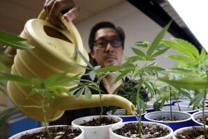 Legislative Roundup