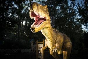 Discovery Museum.jpg