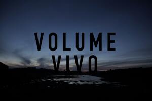 volume_vivo1.jpg