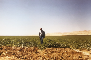 Screen Shot 2022-08-30 at 5.47.50 PM.png