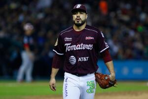 Tomateros 5.jpeg