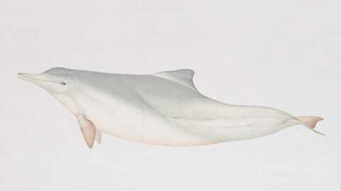 an image