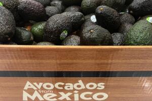 Trump-Tariffs-Mexico-Canada