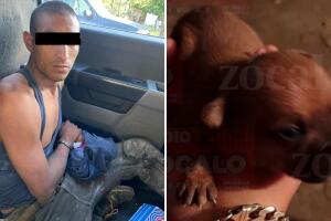 hombre mata cocina come propia mascota perro chihuahua piedras negras coahuila