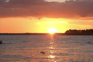 ATARDECER-HOUSTON-20.jpg