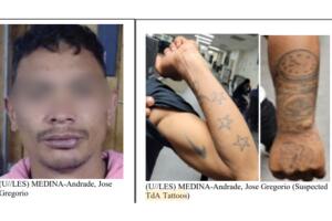 Untitled design (4).jpg