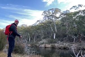 seely reaparece6.jpg