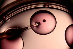 La pareja pide pruebas de ADN y notificación a otros pacientes por un posible intercambio de embriones.