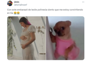 lesslie-polinesia-embarazada-reacciones-fans (7).png