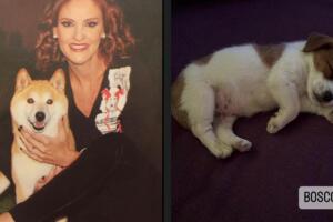 Chantal Andere con Kenzo, quien falleció en 2024. Bosco, el nuevo cachorro de la familia.