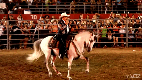 Joan Sebastian 