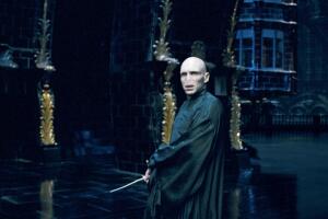 voldemort_harry_potter_oficial_2.jpg