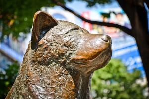 estatua-de-hachiko.jpg
