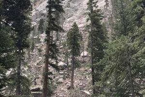 roca1.jpg