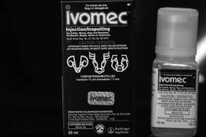 Ivermectina