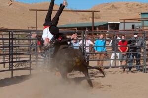 Jackass 4 Johnny Knoxville herida toro cerebro.jpg