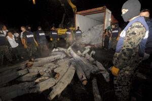 Mexican naval officers stand guard after checking a container ship in a container port in the southern Mexico state of Yucatan