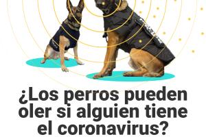 Perros portada 1.jpg