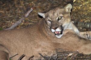 AP18004849131053 (1).jpg