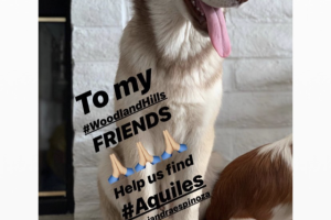 Image from iOS (65).png