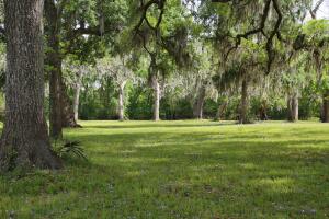 Brazos Bend, un parque que reune las especies más salvajes de Texas