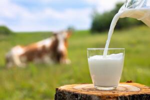 Leche en Pensilvania .jpg