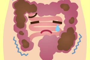 intestino-preso-0716-1260x350.jpg