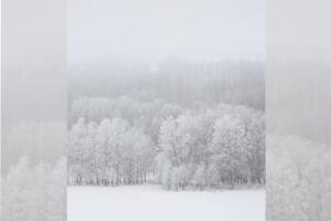 vientos sierra nevada.jpg